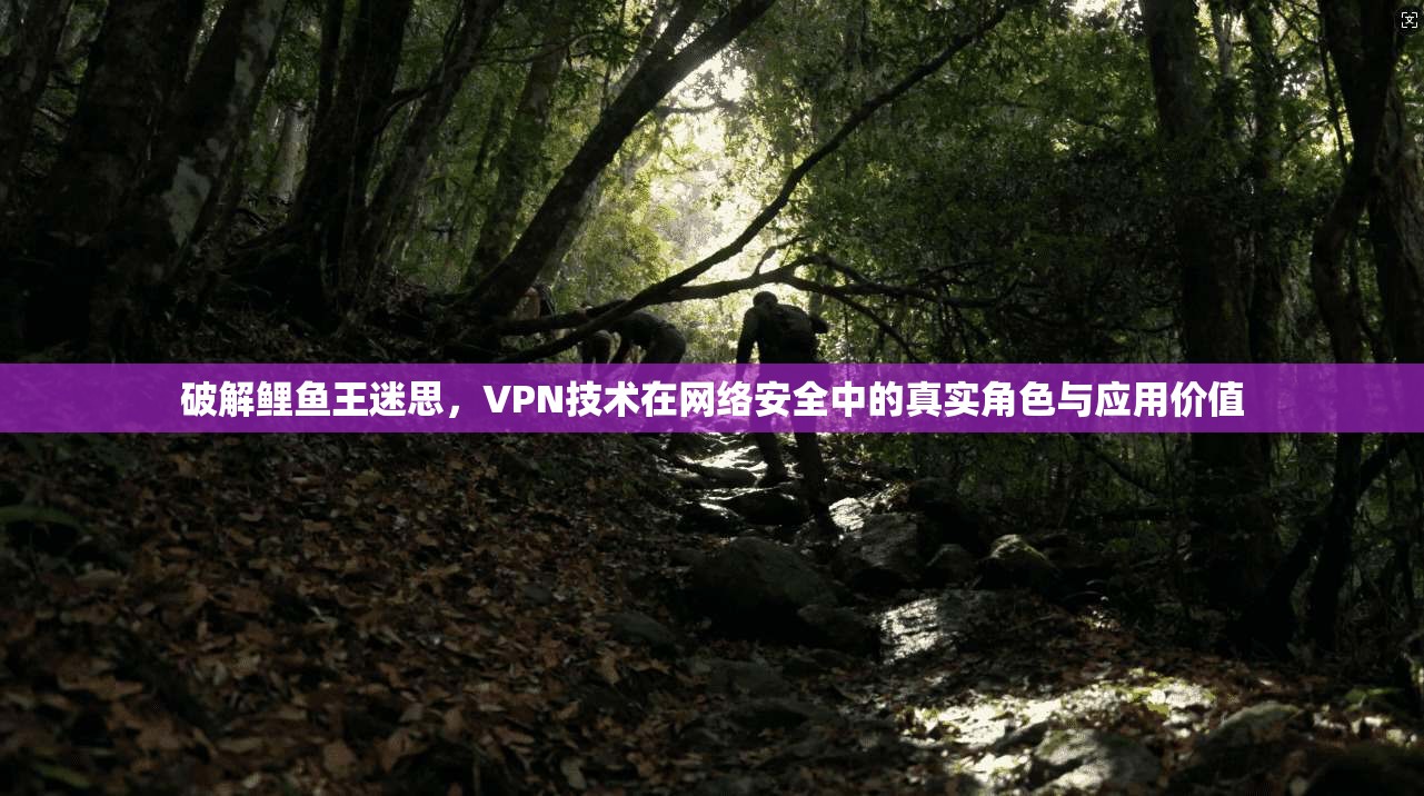 破解鲤鱼王迷思，VPN技术在网络安全中的真实角色与应用价值