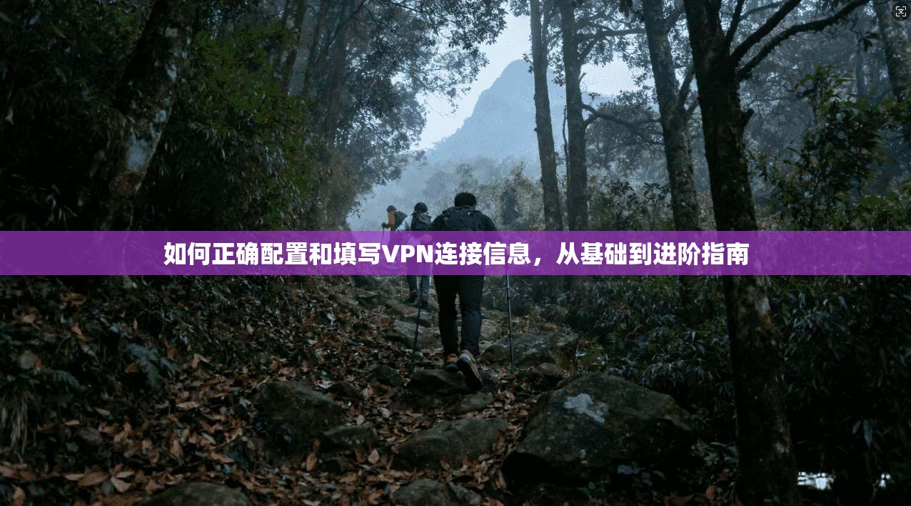 如何正确配置和填写VPN连接信息，从基础到进阶指南