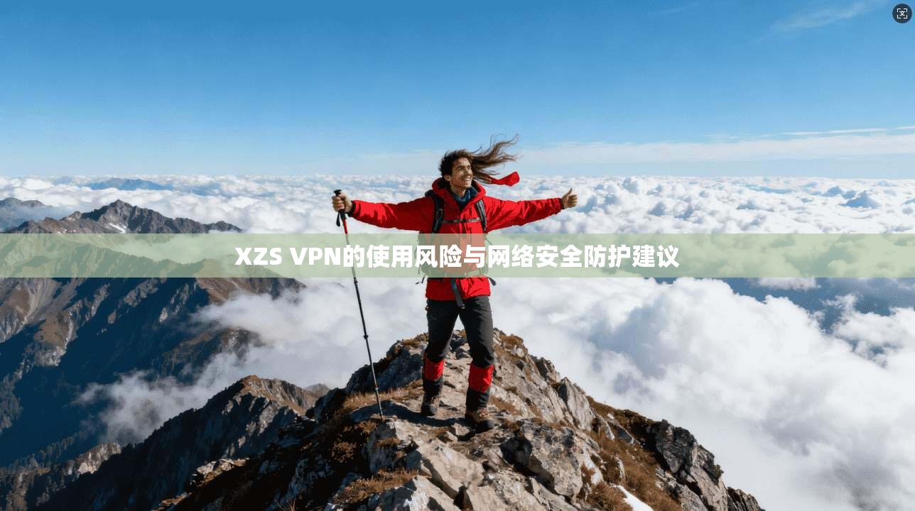 XZS VPN的使用风险与网络安全防护建议