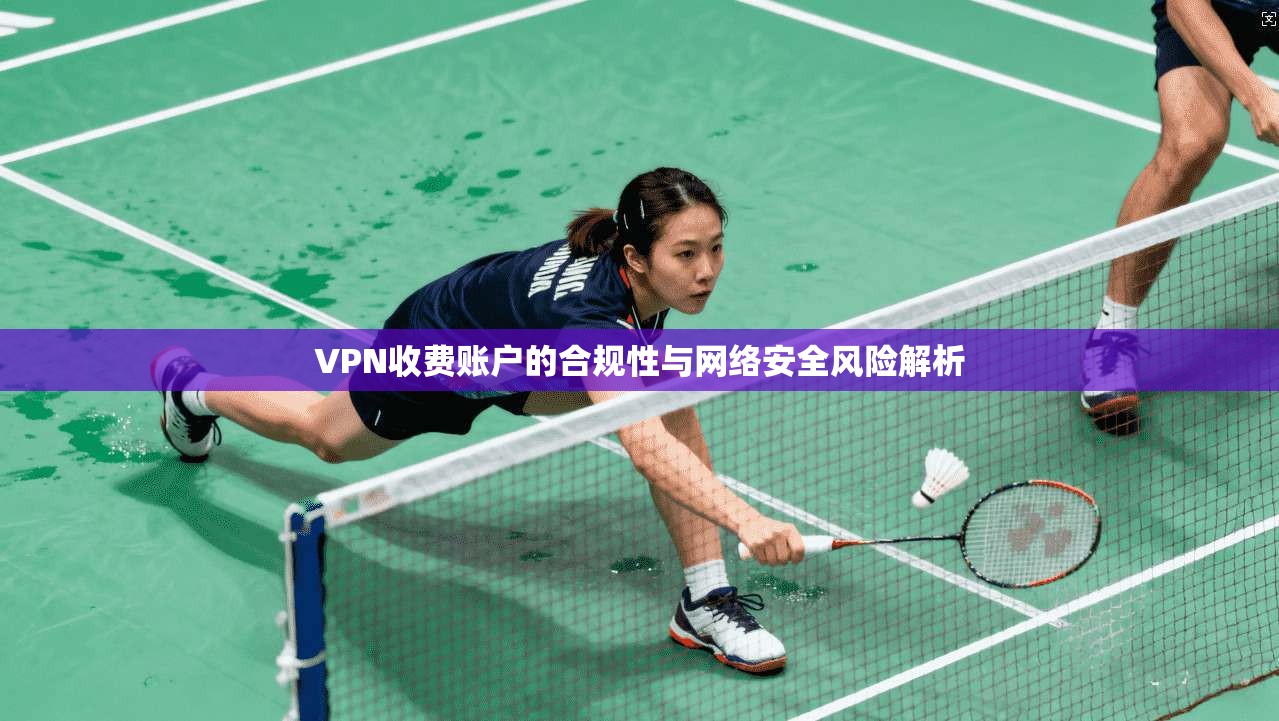 VPN收费账户的合规性与网络安全风险解析
