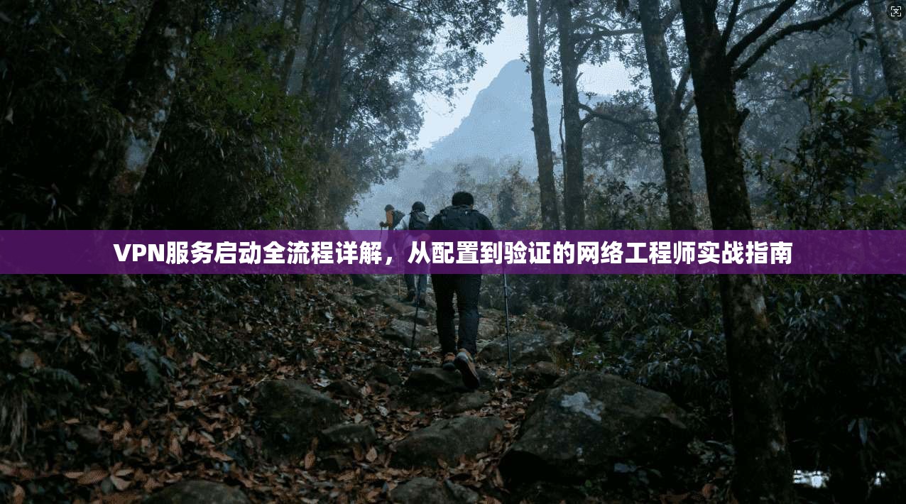 VPN服务启动全流程详解，从配置到验证的网络工程师实战指南