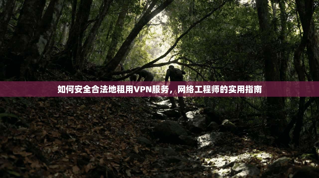 如何安全合法地租用VPN服务，网络工程师的实用指南