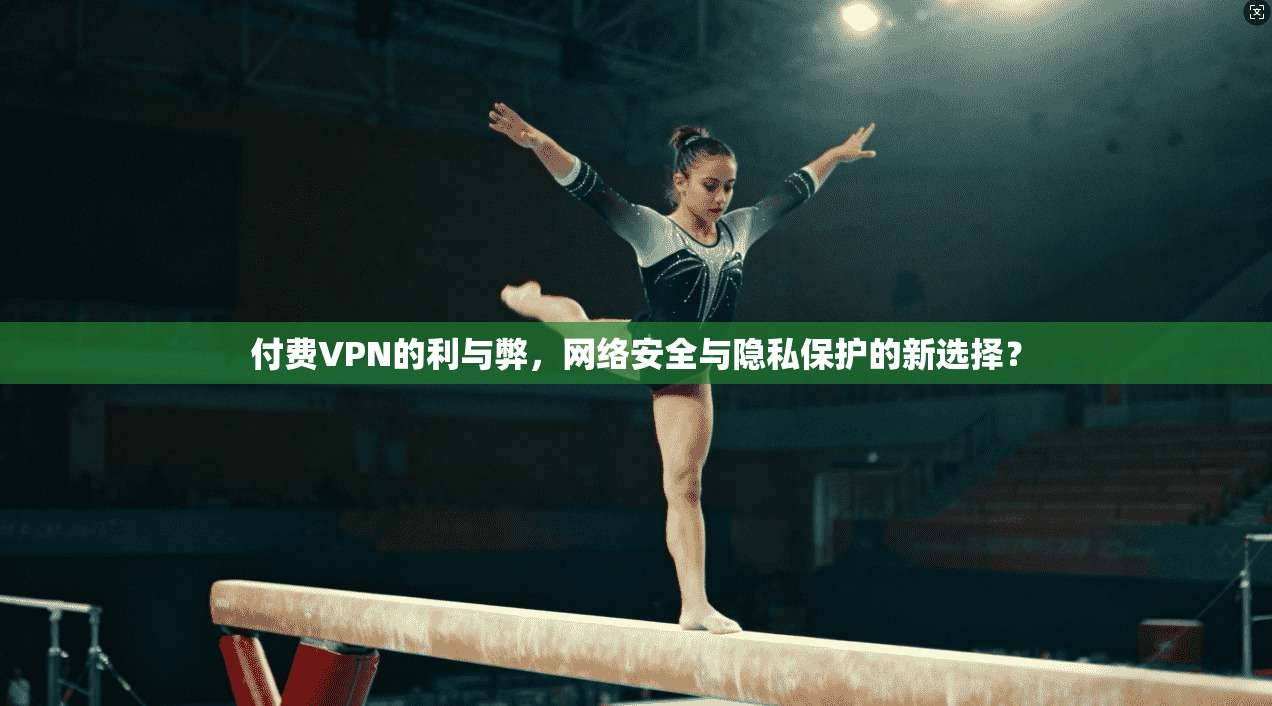 付费VPN的利与弊,网络安全与隐私保护的新选择? 第1张 付费VPN的利与弊,网络安全与隐私保护的新选择? 第1张