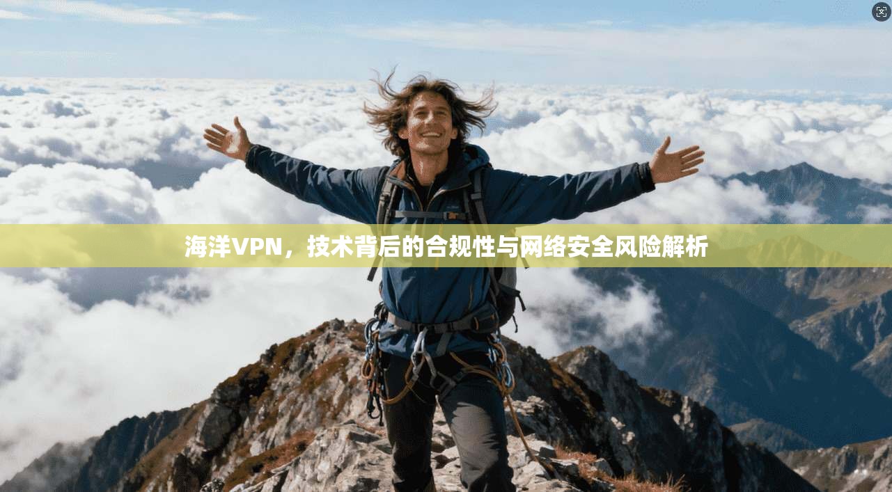 海洋VPN，技术背后的合规性与网络安全风险解析  第1张