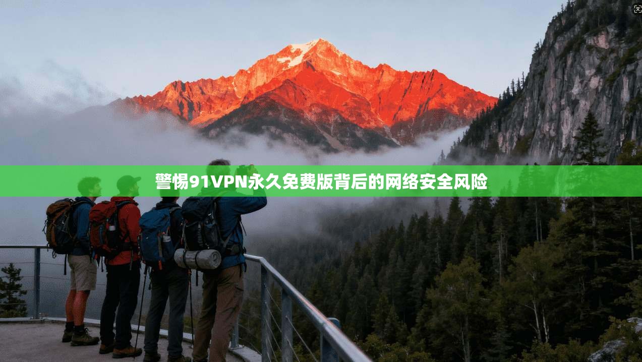 警惕91VPN永久免费版背后的网络安全风险  第1张