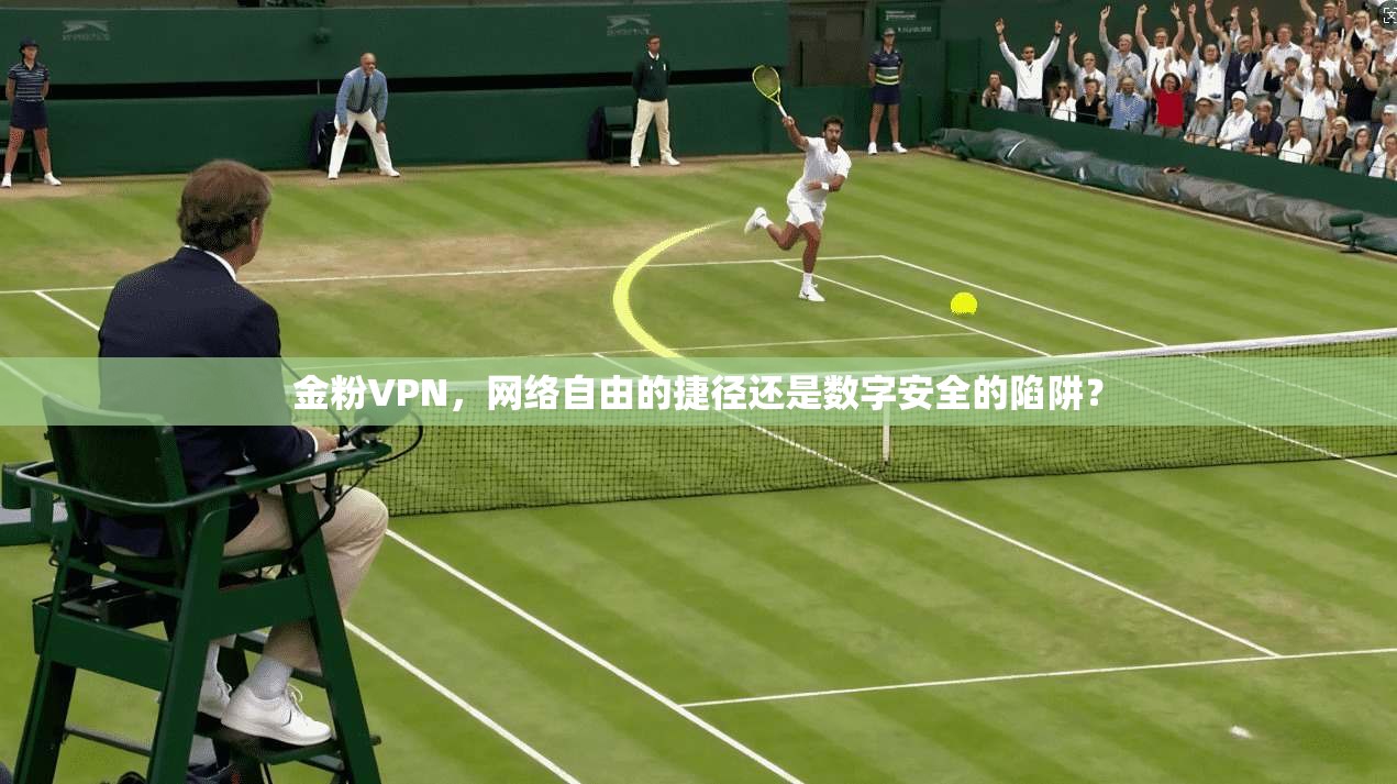 金粉VPN，网络自由的捷径还是数字安全的陷阱？  第1张