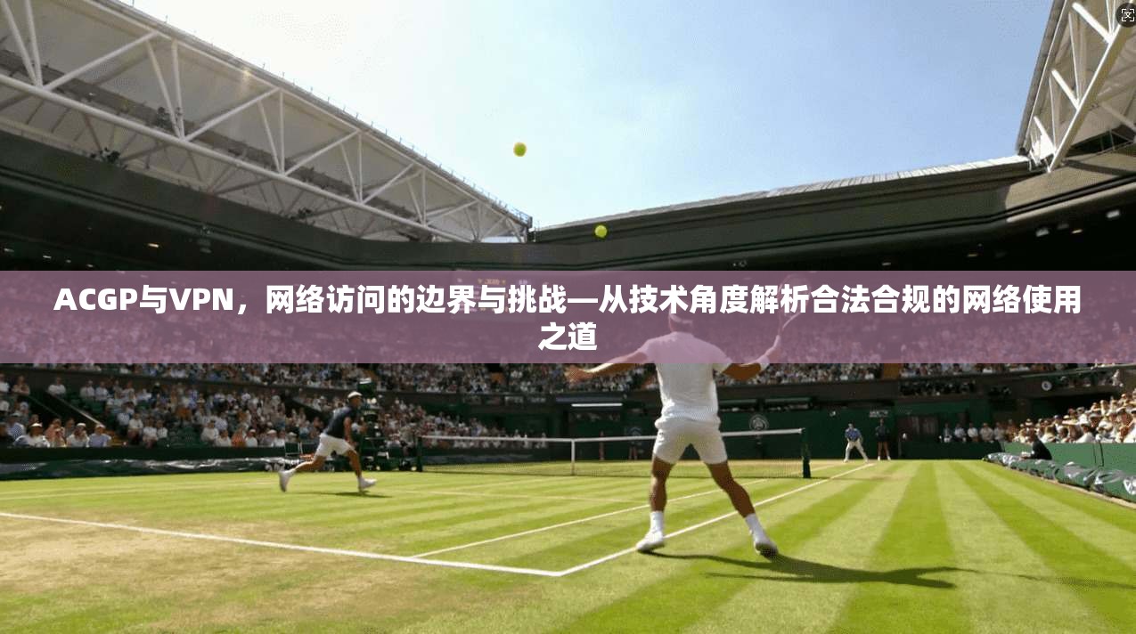 ACGP与VPN，网络访问的边界与挑战—从技术角度解析合法合规的网络使用之道  第1张
