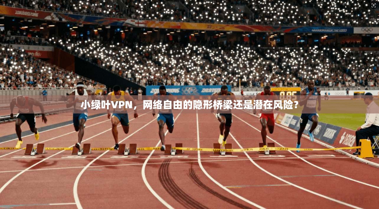 小绿叶VPN，网络自由的隐形桥梁还是潜在风险？  第1张