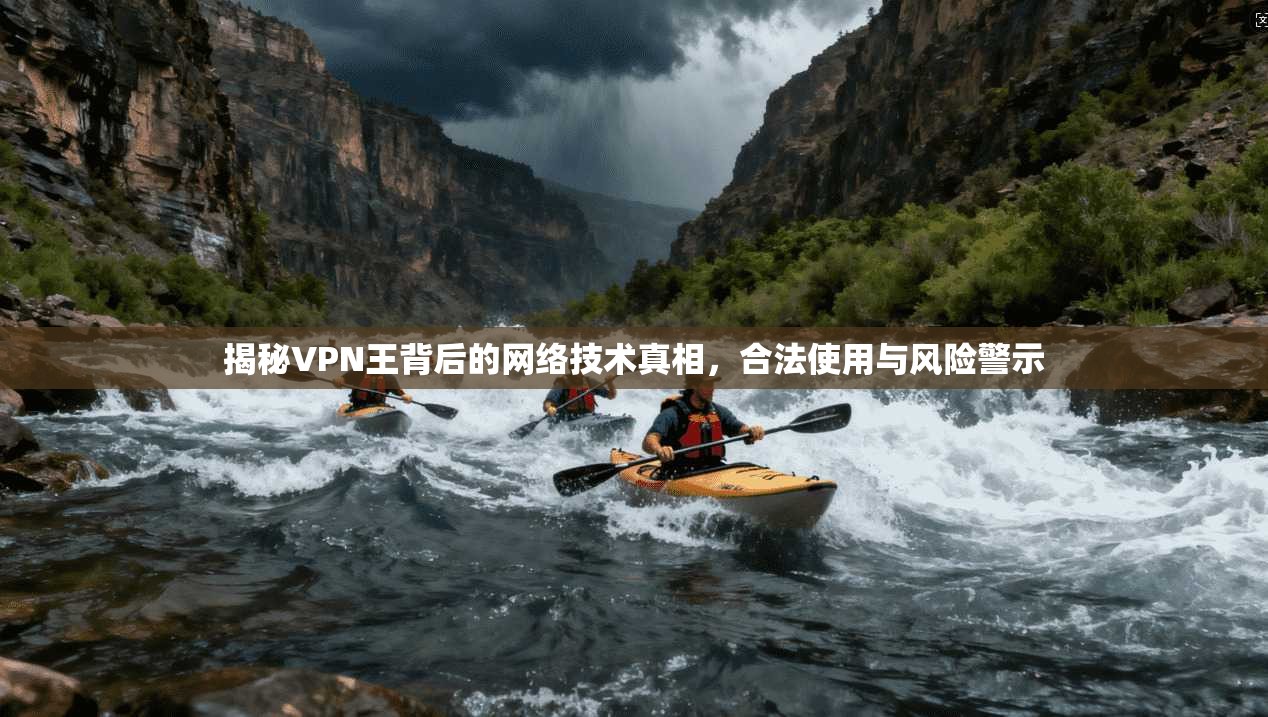 揭秘VPN王背后的网络技术真相,合法使用与风险警示 第1张 揭秘VPN王背后的网络技术真相,合法使用与风险警示 第1张