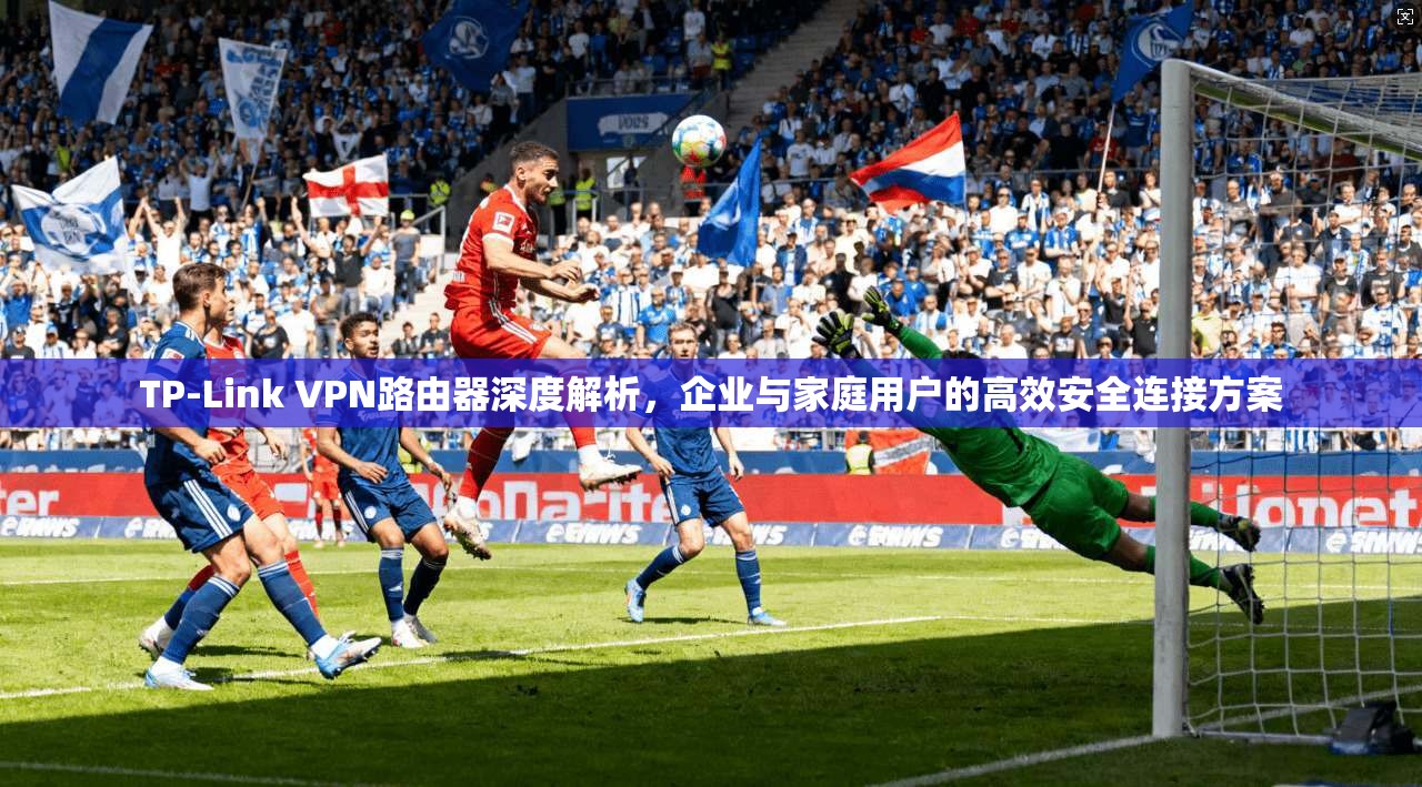 TP-Link VPN路由器深度解析,企业与家庭用户的高效安全连接方案 第1张 TP-Link VPN路由器深度解析,企业与家庭用户的高效安全连接方案 第1张