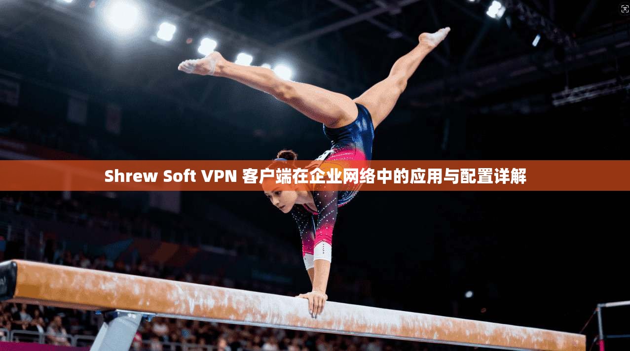 Shrew Soft VPN 客户端在企业网络中的应用与配置详解  第1张