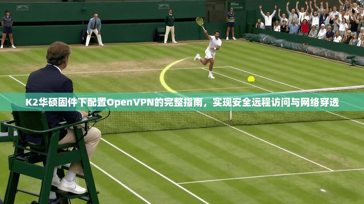 K2华硕固件下配置OpenVPN的完整指南，实现安全远程访问与网络穿透  第1张