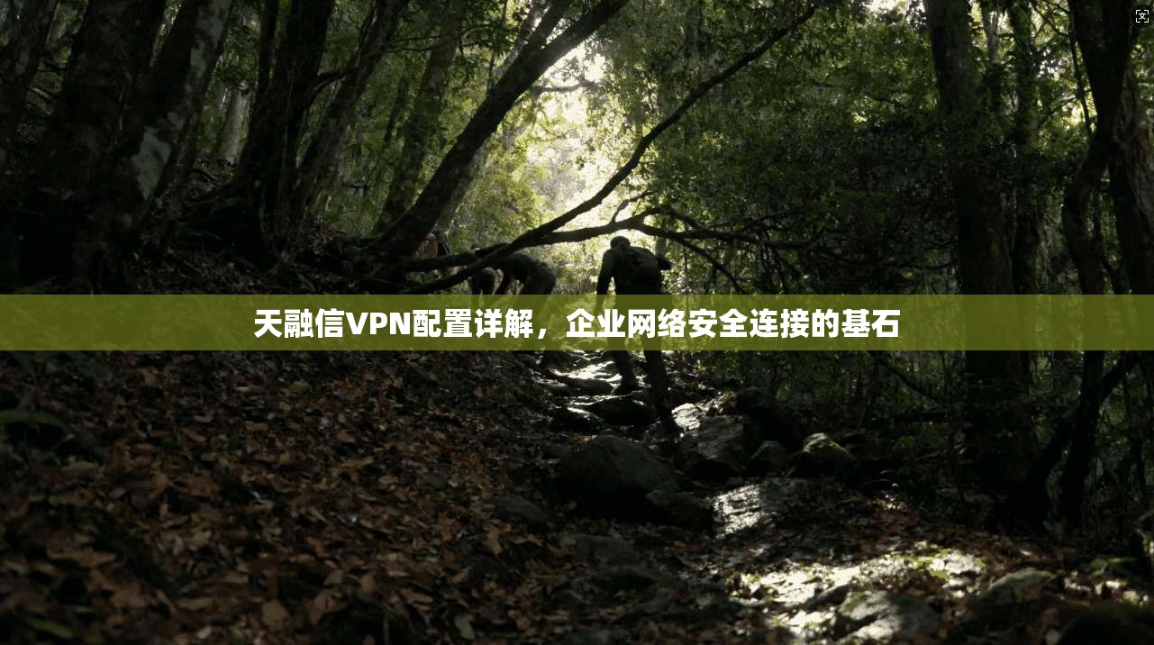 天融信VPN配置详解,企业网络安全连接的基石 第1张 天融信VPN配置详解,企业网络安全连接的基石 第1张