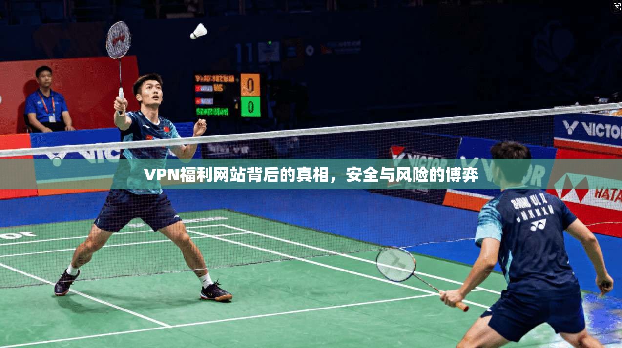 VPN福利网站背后的真相，安全与风险的博弈  第1张