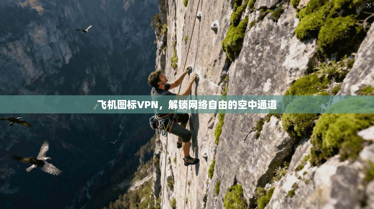 飞机图标VPN，解锁网络自由的空中通道  第1张