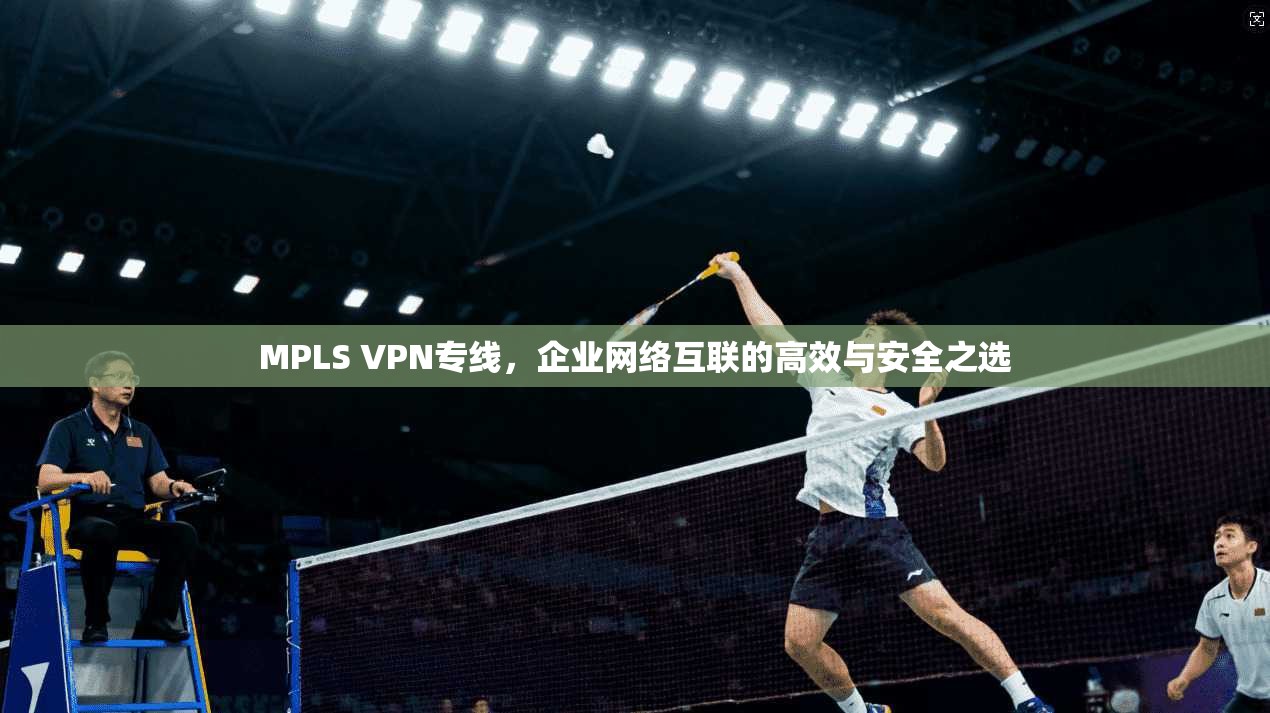 MPLS VPN专线,企业网络互联的高效与安全之选 第1张 MPLS VPN专线,企业网络互联的高效与安全之选 第1张