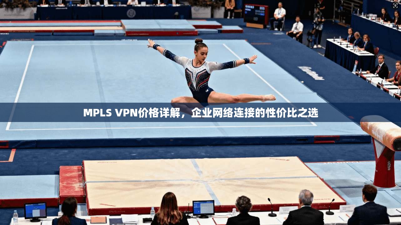 MPLS VPN价格详解,企业网络连接的性价比之选 第1张 MPLS VPN价格详解,企业网络连接的性价比之选 第1张