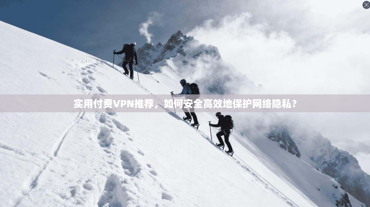 实用付费VPN推荐，如何安全高效地保护网络隐私？  第1张