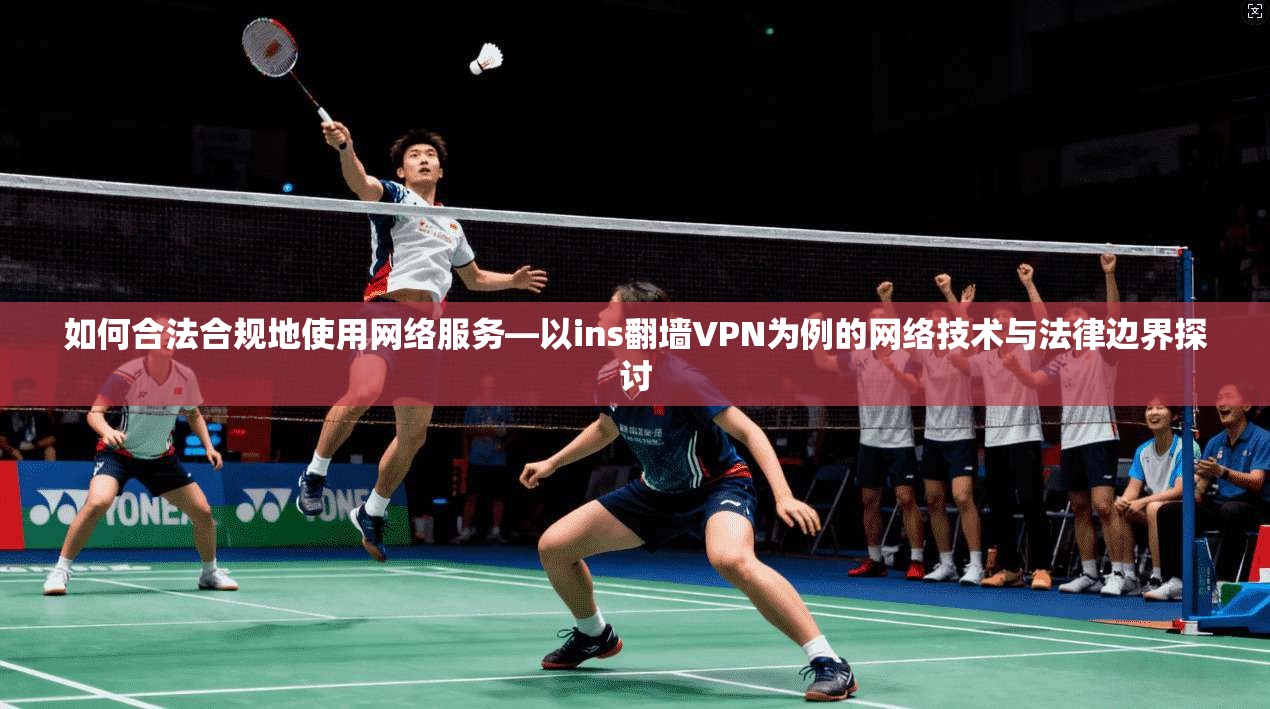 如何合法合规地使用网络服务—以ins翻墙VPN为例的网络技术与法律边界探讨  第1张
