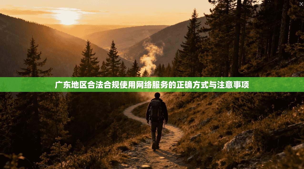 广东地区合法合规使用网络服务的正确方式与注意事项  第1张