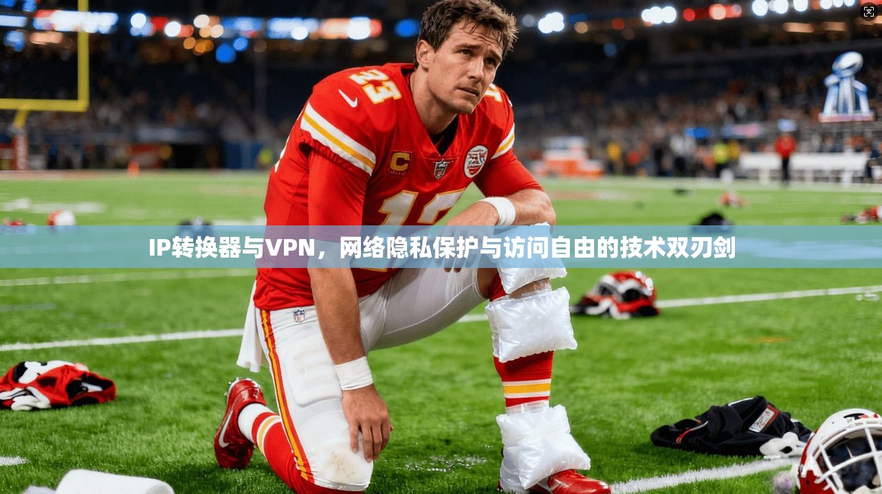 IP转换器与VPN，网络隐私保护与访问自由的技术双刃剑  第1张