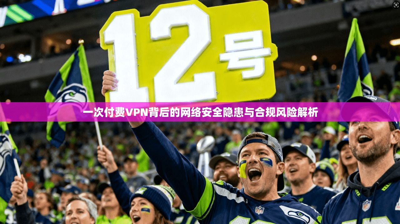 一次付费VPN背后的网络安全隐患与合规风险解析  第1张