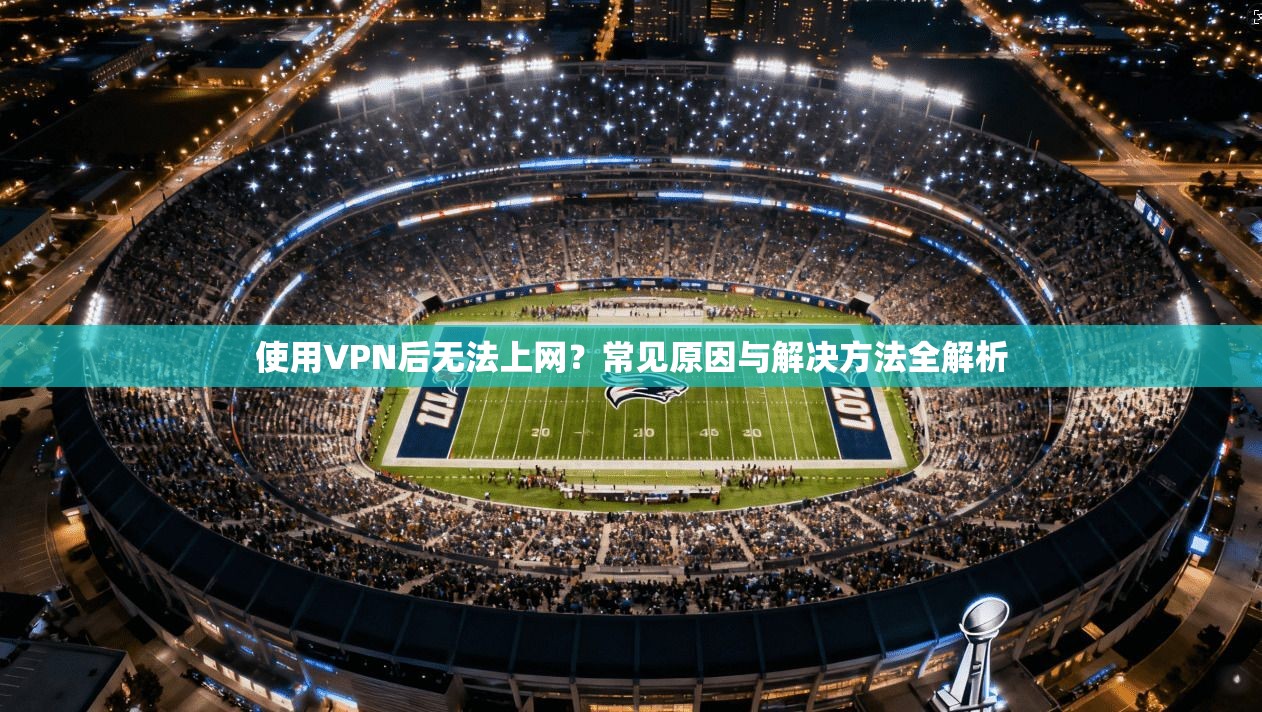 使用VPN后无法上网？常见原因与解决方法全解析  第1张