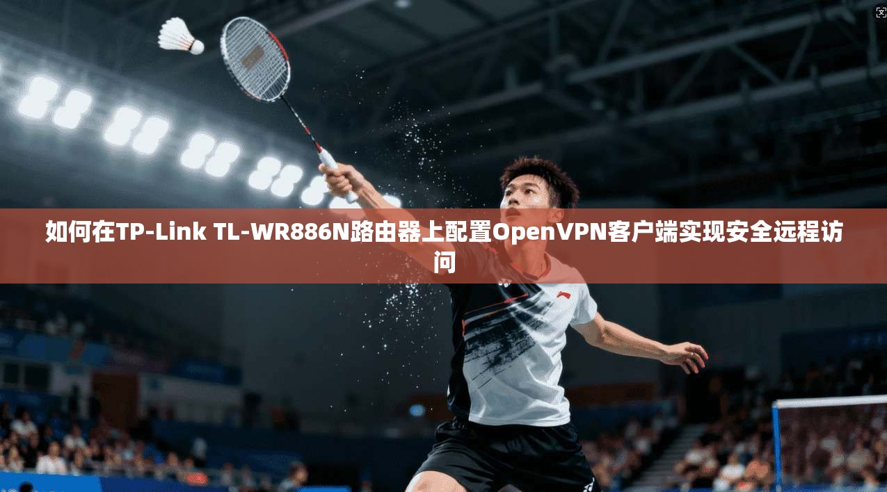 如何在TP-Link TL-WR886N路由器上配置OpenVPN客户端实现安全远程访问  第1张
