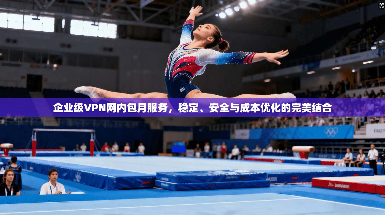 企业级VPN网内包月服务，稳定、安全与成本优化的完美结合  第1张