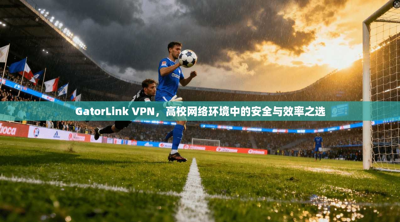 GatorLink VPN，高校网络环境中的安全与效率之选  第1张
