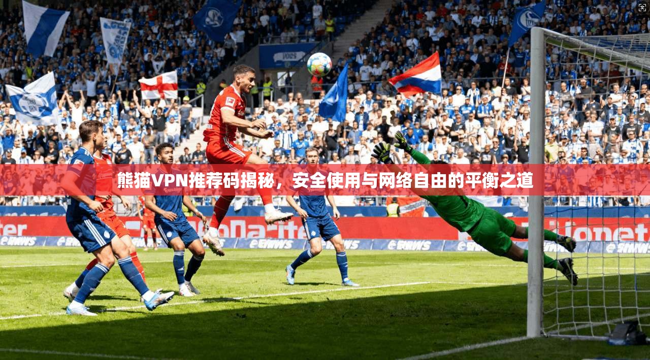 熊猫VPN推荐码揭秘，安全使用与网络自由的平衡之道  第1张