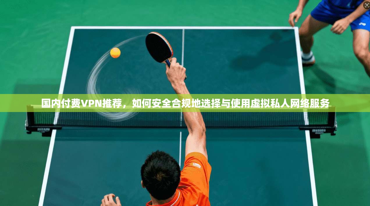 国内付费VPN推荐，如何安全合规地选择与使用虚拟私人网络服务  第1张