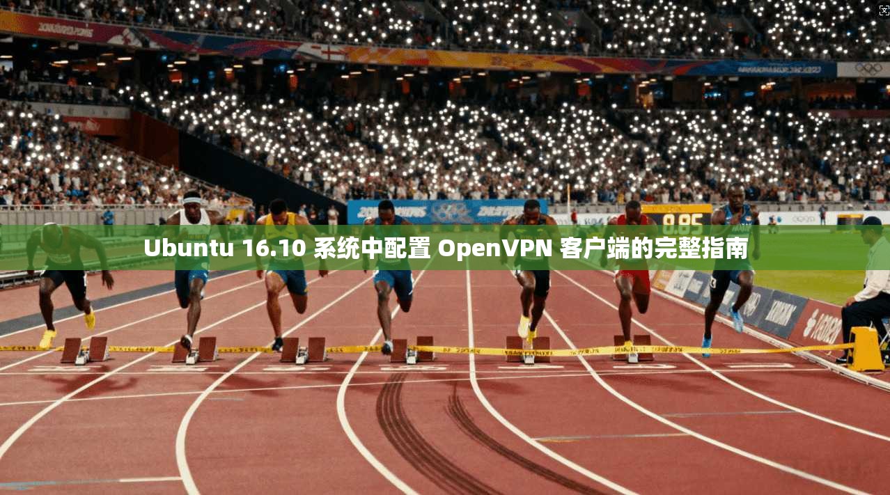 Ubuntu 16.10 系统中配置 OpenVPN 客户端的完整指南  第1张