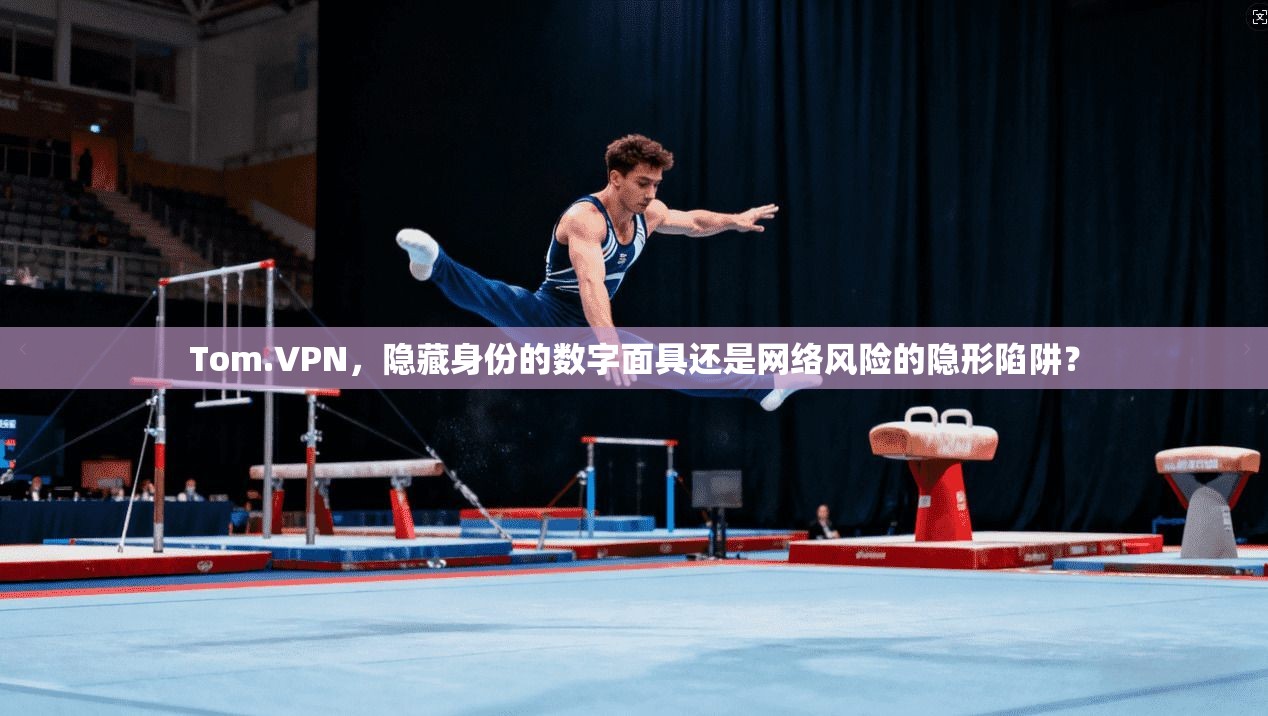 Tom.VPN，隐藏身份的数字面具还是网络风险的隐形陷阱？  第1张