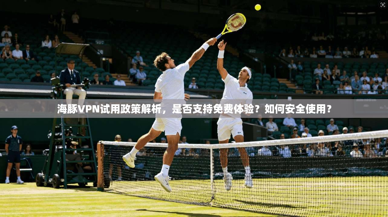 海豚VPN试用政策解析，是否支持免费体验？如何安全使用？  第1张