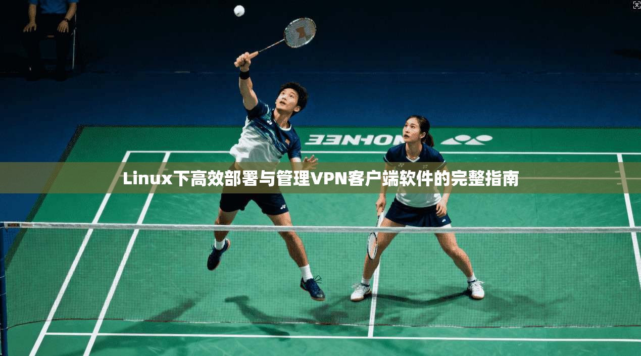 Linux下高效部署与管理VPN客户端软件的完整指南  第1张