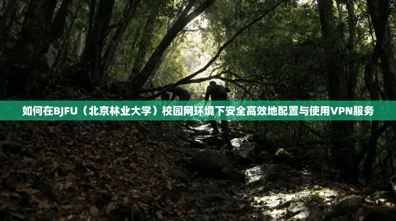 如何在BJFU（北京林业大学）校园网环境下安全高效地配置与使用VPN服务  第1张