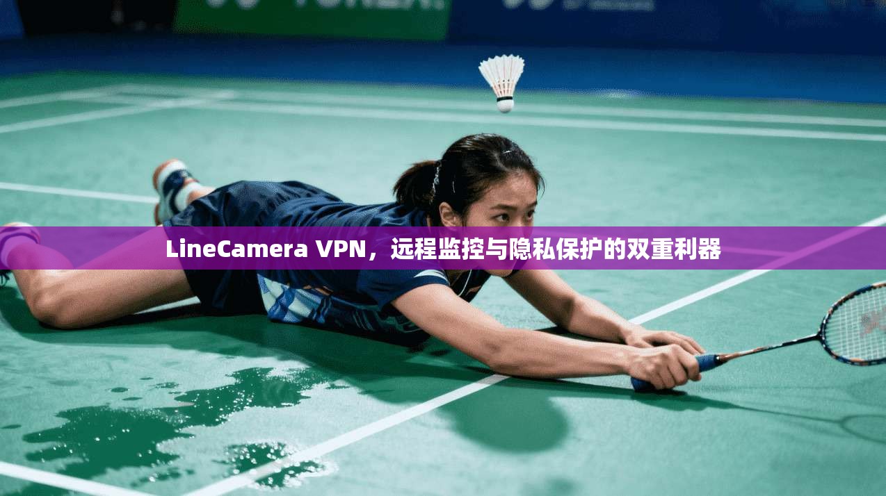 LineCamera VPN，远程监控与隐私保护的双重利器  第1张