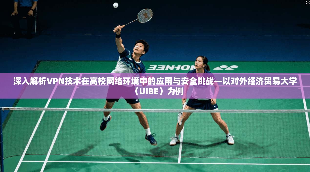 深入解析VPN技术在高校网络环境中的应用与安全挑战—以对外经济贸易大学（UIBE）为例  第1张