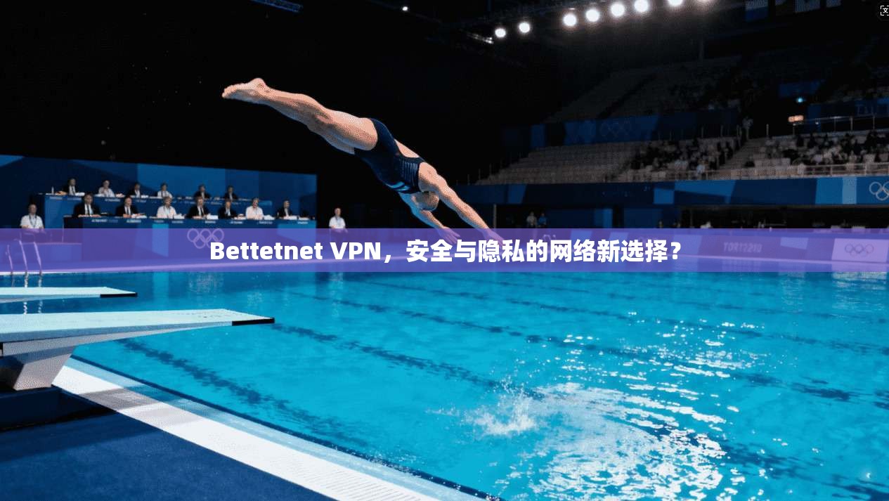 Bettetnet VPN，安全与隐私的网络新选择？  第1张