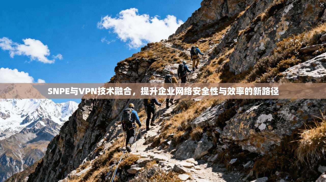 SNPE与VPN技术融合，提升企业网络安全性与效率的新路径  第1张