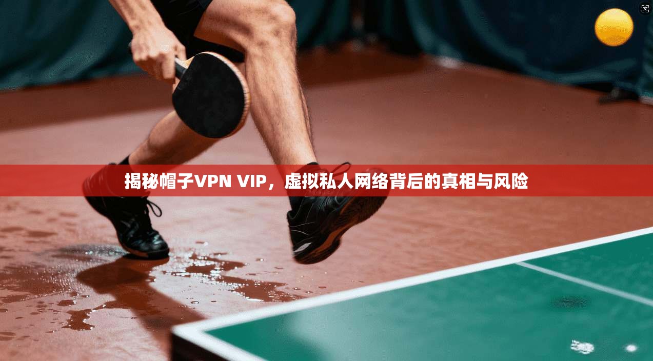 揭秘帽子VPN VIP，虚拟私人网络背后的真相与风险  第1张