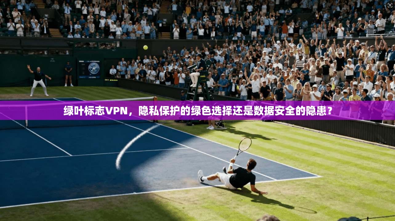 绿叶标志VPN，隐私保护的绿色选择还是数据安全的隐患？  第1张