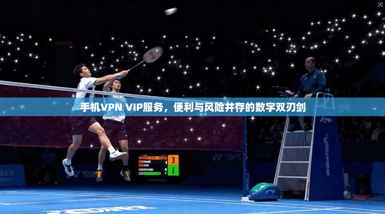 手机VPN VIP服务，便利与风险并存的数字双刃剑  第1张