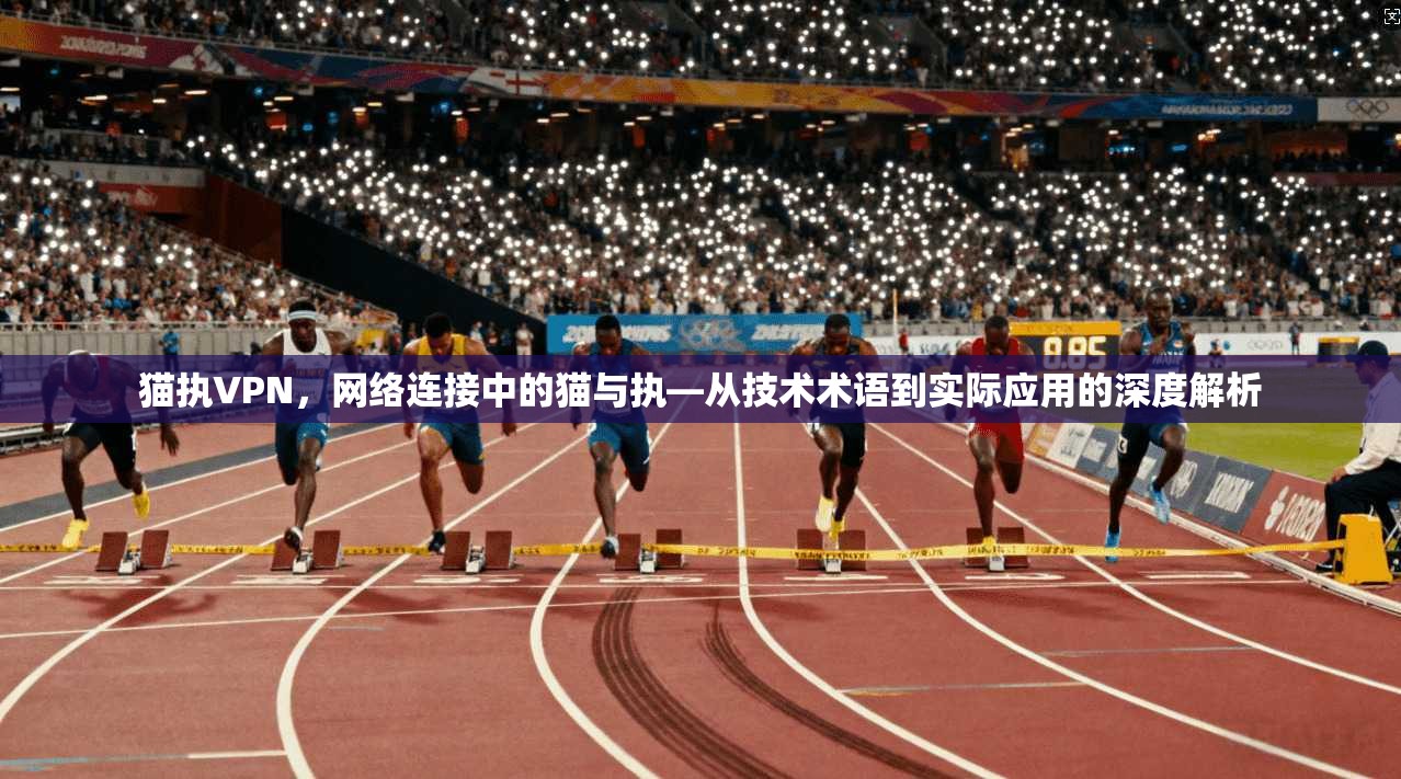 猫执VPN，网络连接中的猫与执—从技术术语到实际应用的深度解析  第1张