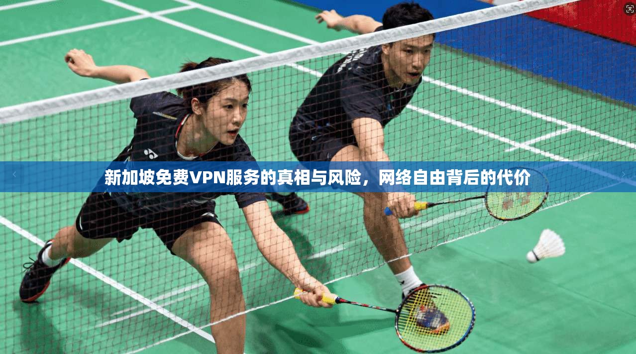 新加坡免费VPN服务的真相与风险，网络自由背后的代价  第1张