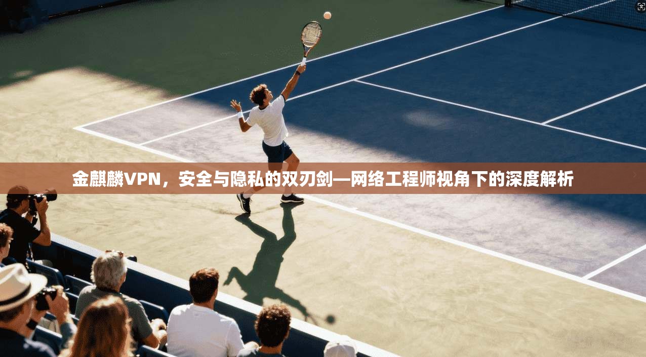 金麒麟VPN，安全与隐私的双刃剑—网络工程师视角下的深度解析  第1张