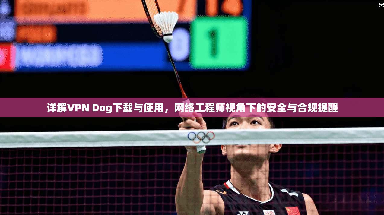 详解VPN Dog下载与使用，网络工程师视角下的安全与合规提醒  第1张