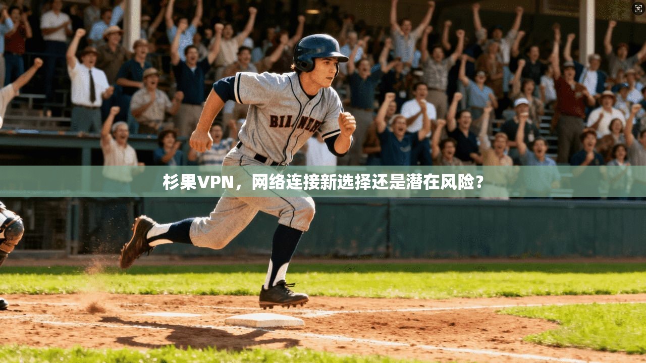 杉果VPN，网络连接新选择还是潜在风险？  第1张