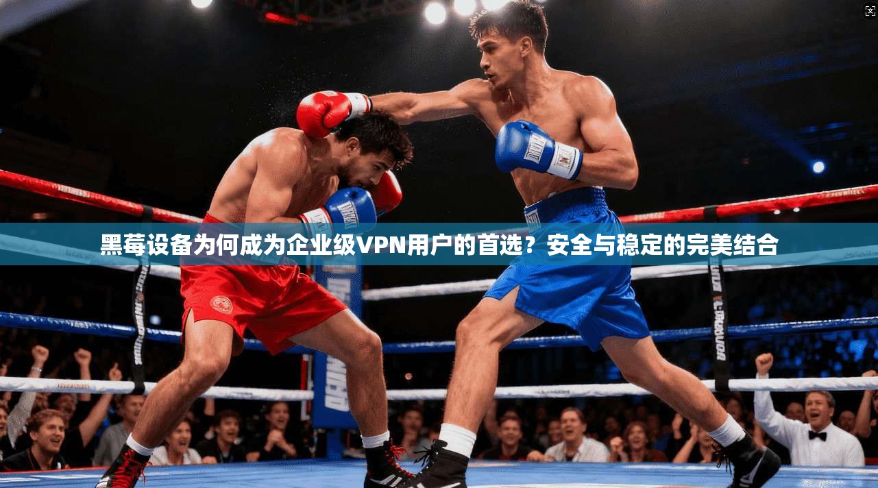 黑莓设备为何成为企业级VPN用户的首选？安全与稳定的完美结合  第1张